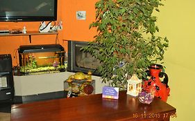 Honey Hostel